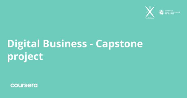 Digital Business - Capstone project