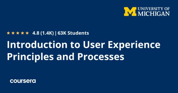 Introduction to User Experience Principles and Processes