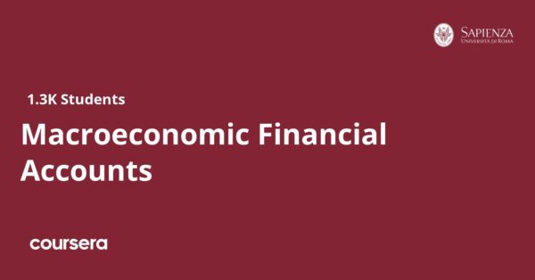 Macroeconomic Financial Accounts