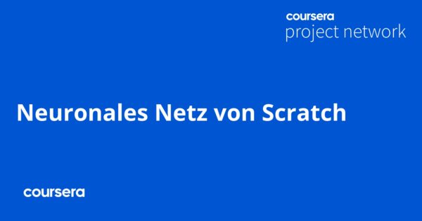 Neuronales Netz von Scratch