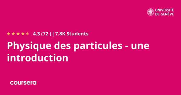 Physique des particules - une introduction