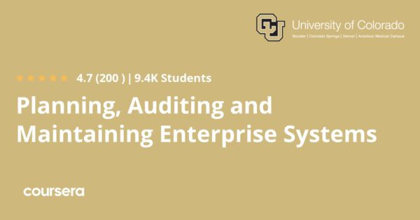 Planning, Auditing and Maintaining Enterprise Systems
