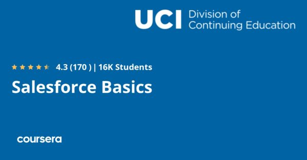 Salesforce Basics