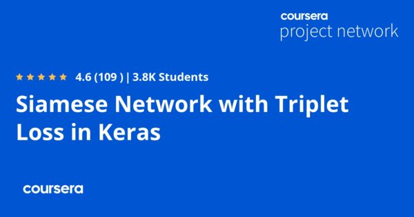 Siamese Network with Triplet Loss in Keras