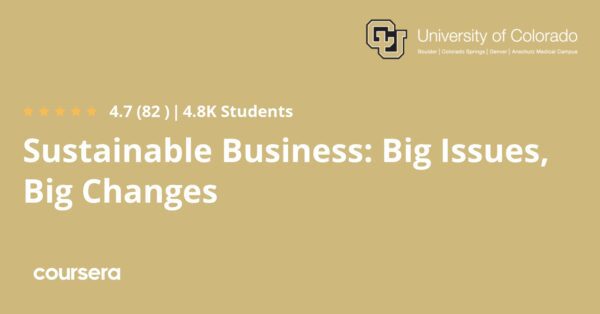 Sustainable Business: Big Issues, Big Changes