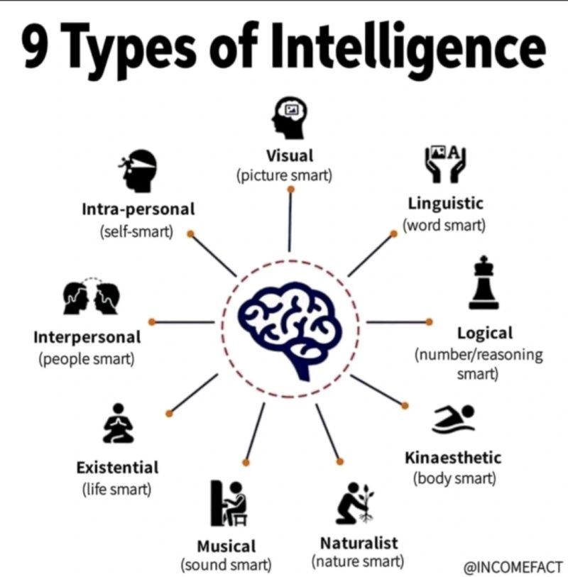 9 Types of Intelligence - Coursya