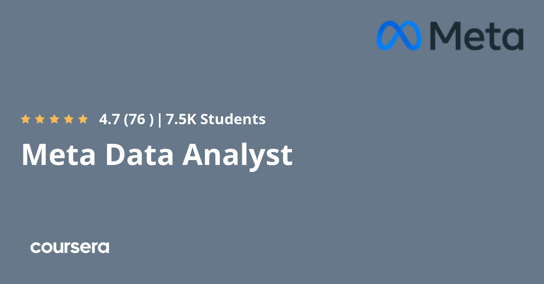 Meta Data Analyst