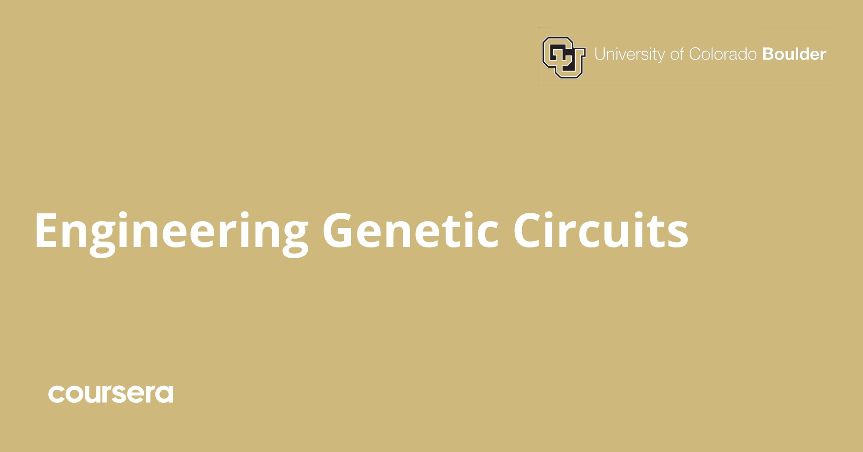 Engineering Genetic Circuits