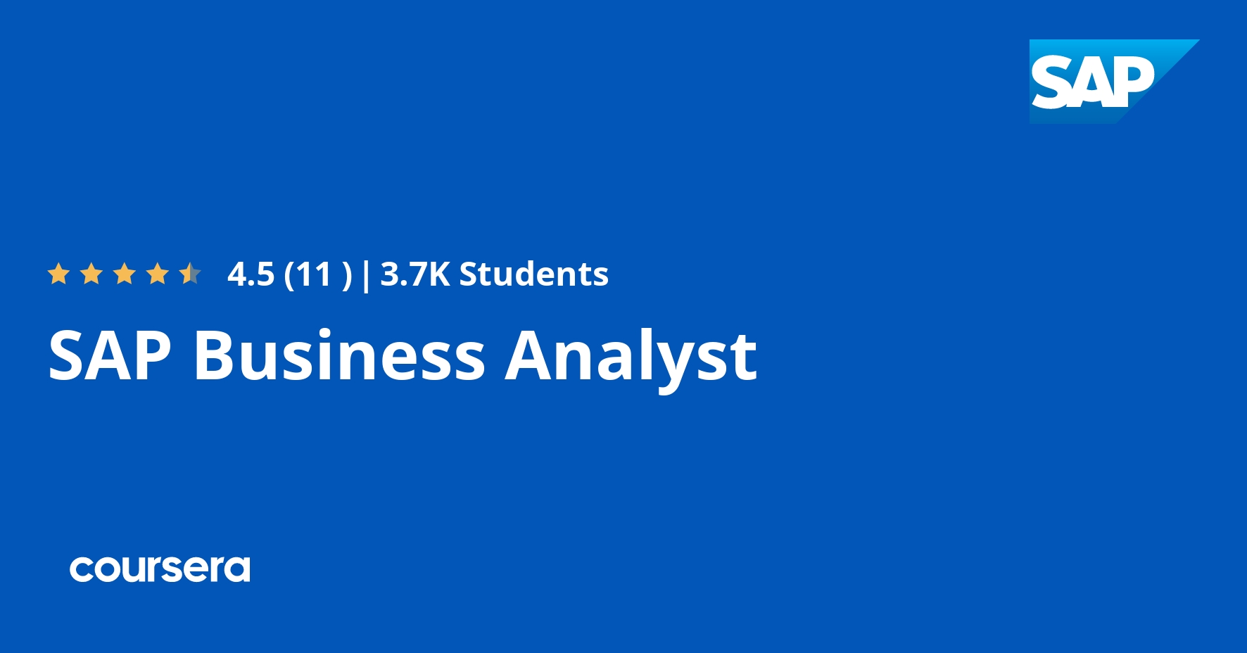 SAP Business Analyst