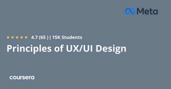 Principles of UX/UI Design